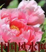 池州预示你财运上升，姻缘可成的梦境，快来看看吧！