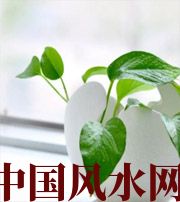 池州家中摆放六种吉祥物，会打开您的财运大门！