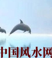 池州做梦梦到这些，是要富裕的征兆！
